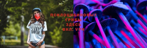 мет Каменка